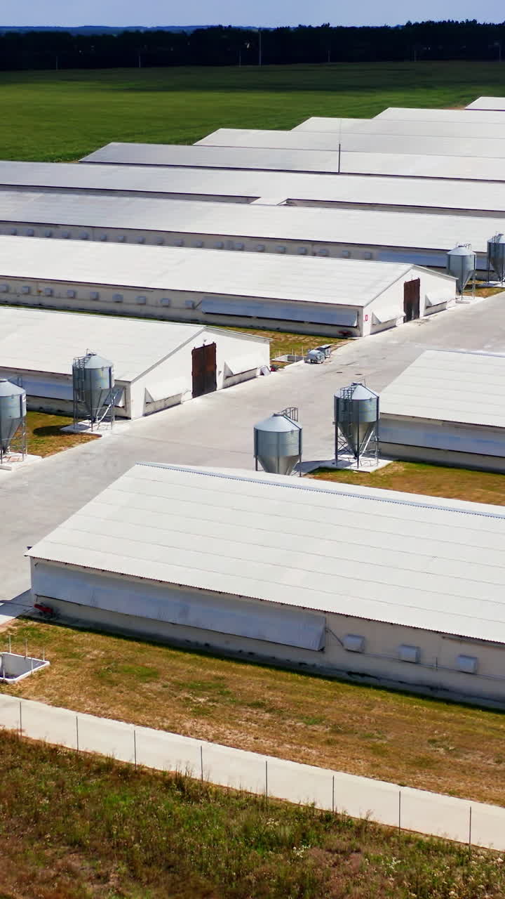 Line of storehouses in green field on summer day. Warehouses for agricultural needs. Countryside industry. Rural place. Farming facilities. Vertical video