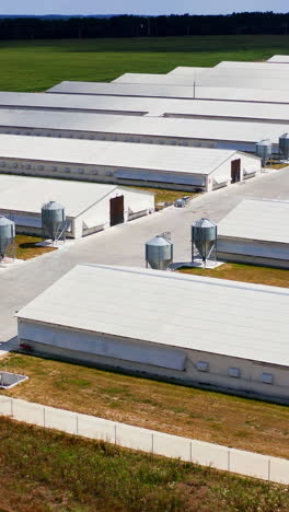 line of storehouses in green field on summer day. warehouses for agricultural needs. countryside industry. rural place. farming facilities. vertical video