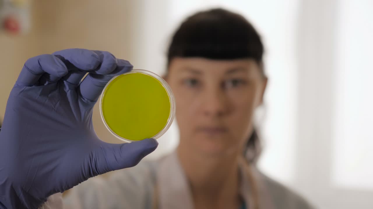 Woman scientist take petri dish in the laboratory. Petri dish green screen. Portrait of a confident female health care professional in his working environment.