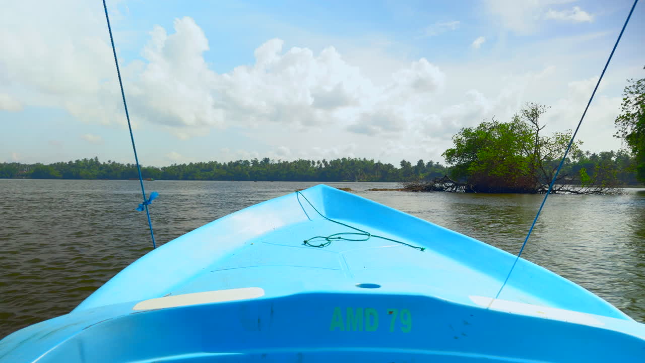 viaje en barco por un río tropical