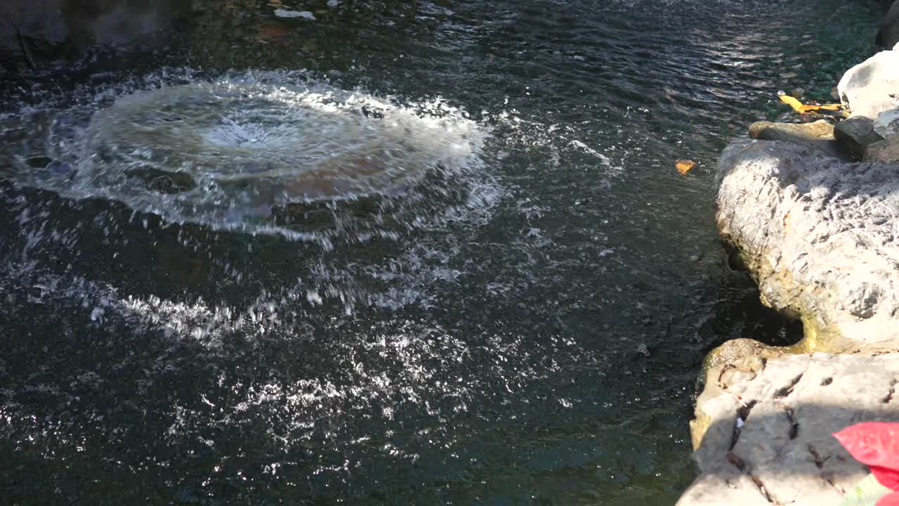 Wat Pho temple garden pond with stone animal statues, lush tropical plants, and visitors enjoying the tranquil cultural attraction in Bangkok, Thailand