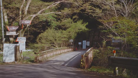 a peaceful afternoon view of takaosan bridge surrounded by lush trees in japan. the tranquil setting conveys serenity and natural beauty, capturing the essence of the japanese landscape.