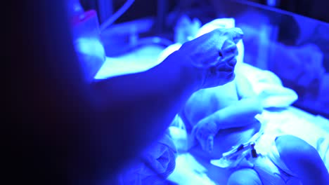 enfermera alimentando al bebé en la incubadora