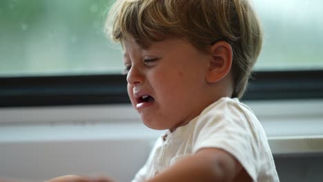 little boy having a tantrum while traveling by train child crying uncontrollably on a trip