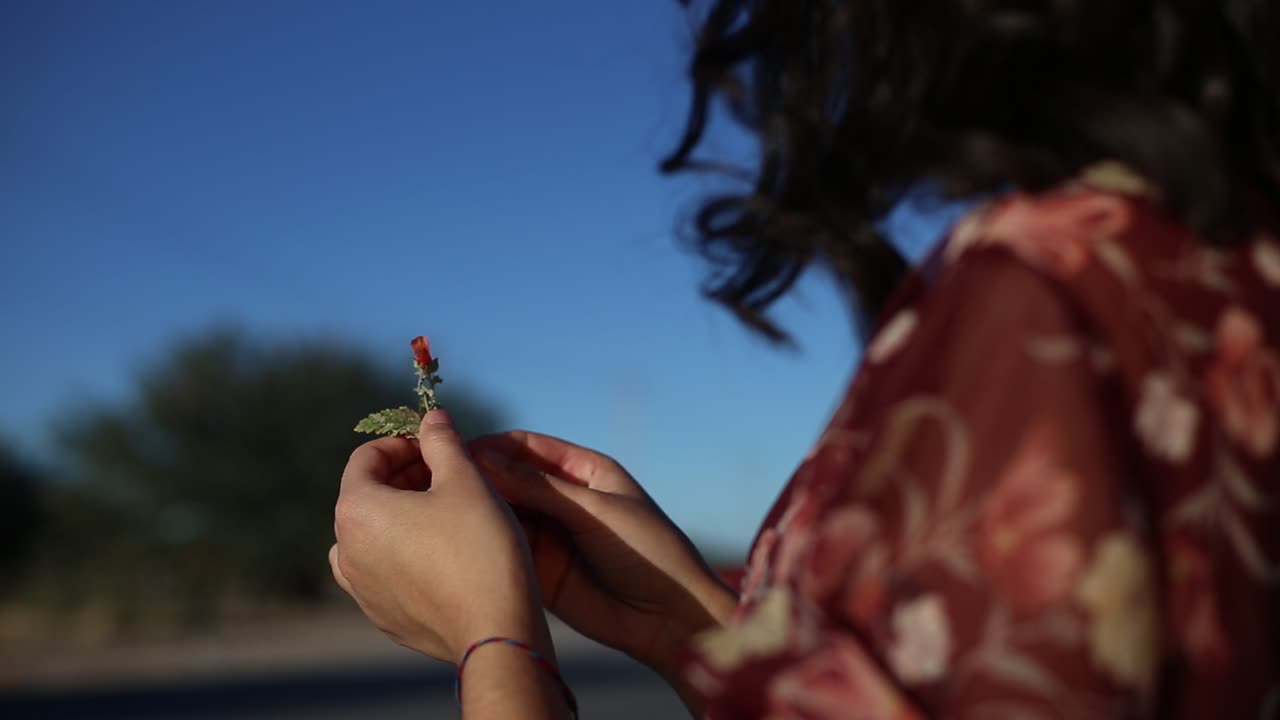 Woman with Long Hair Looking at Desert Landscape