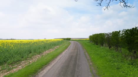 aerial footage: vibrant rapeseed fields in lincolnshire wolds, country paths amidst vast agricultural landscapes.
