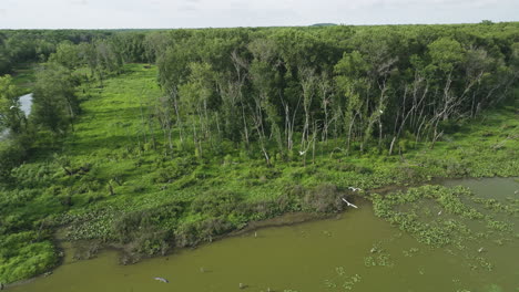 Hubler-Lake-With-Flying-Waterbirds-In-Missouri,-USA---Drone-Shot