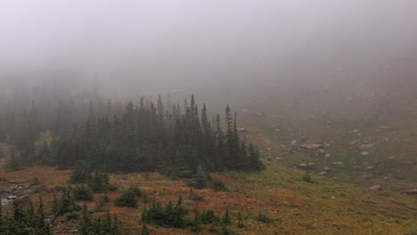 Starke-Flügel-Und-Dichter-Nebel,-Der-Im-Flügel-Auf-Dem-Logans-Pass-Im-Glacier-National-Park-Weht