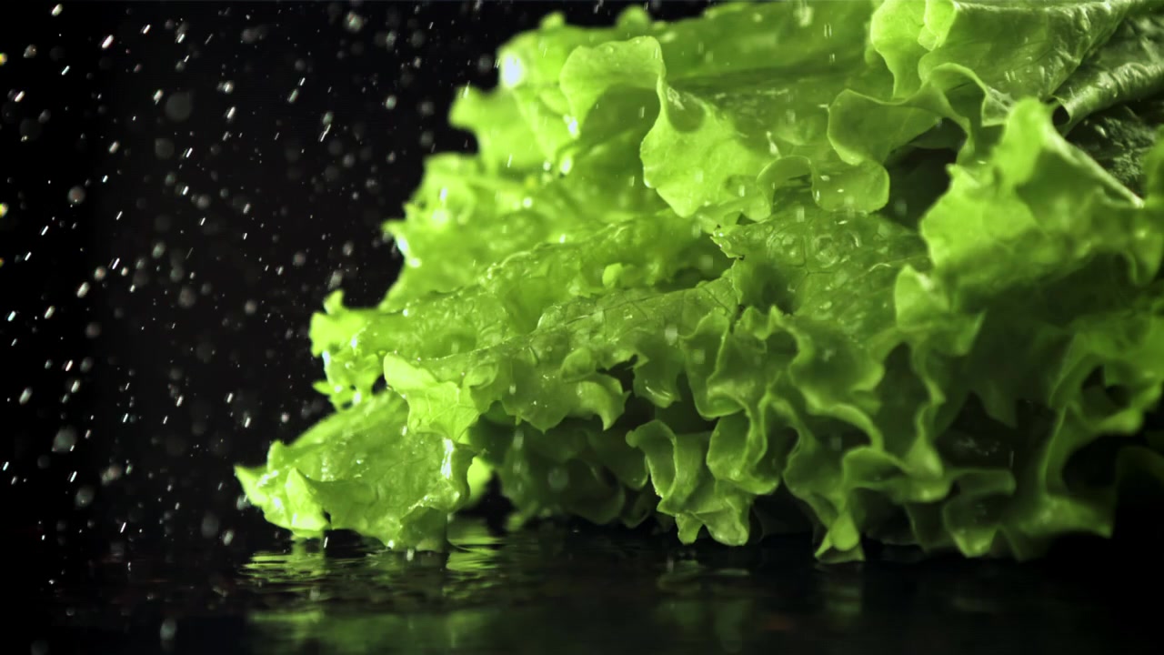Waterdruppels spatten op verse groene slablaadjes