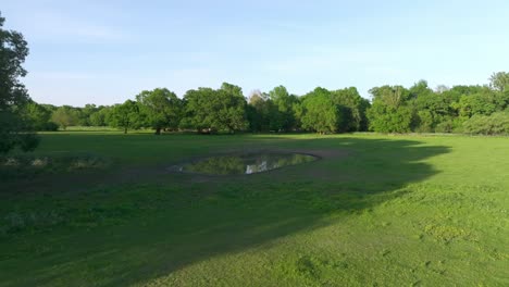 puddle of water in lush green field on floodplain in marchegg, austria