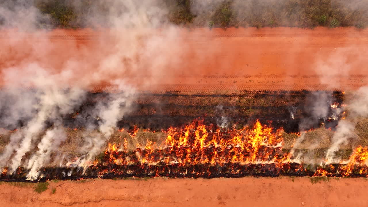 Aerial view as flames rage through combustible grasses and smoke rise, firebreak