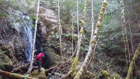 male hiker in front of a waterfall on vancouver island, canada