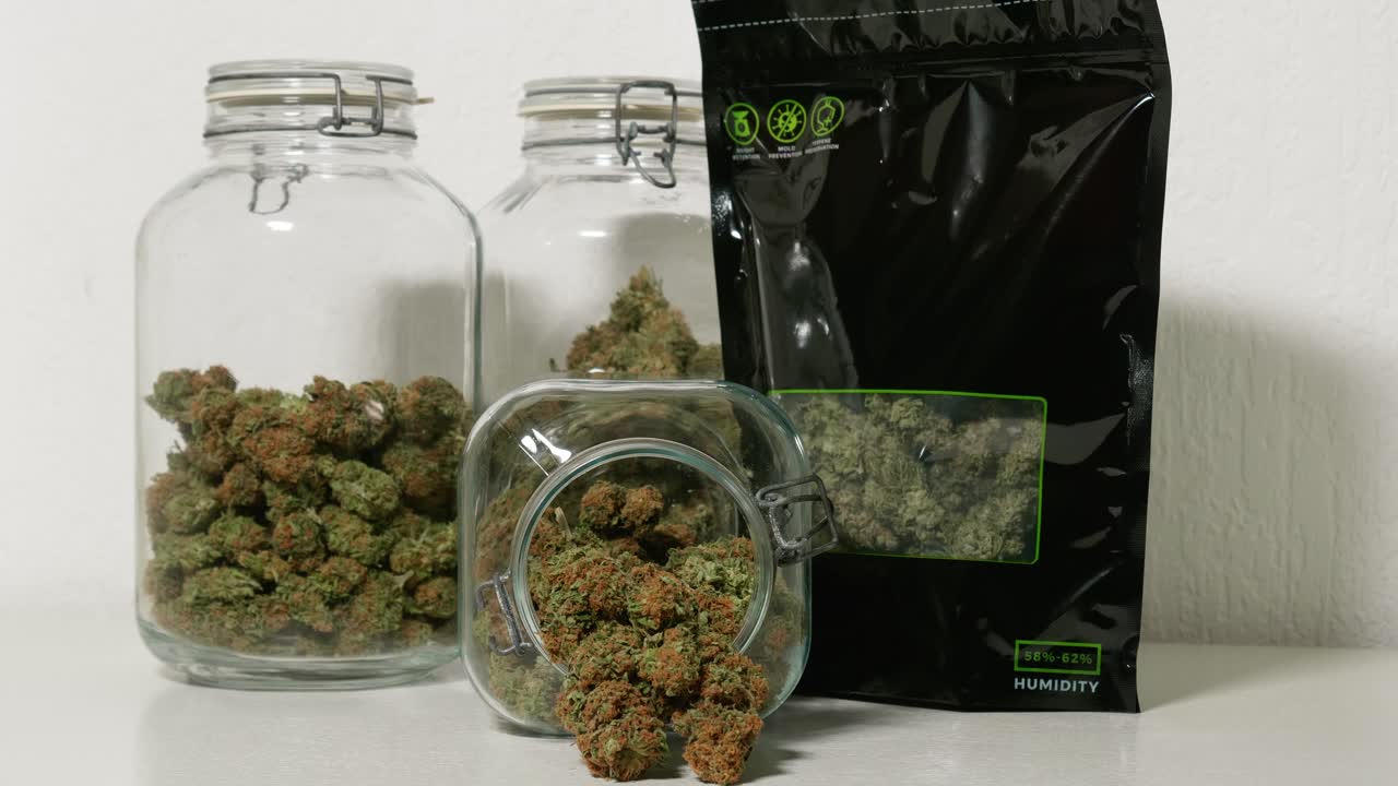 Dolly-shot af høstede cannabisblomster i krukker foran en hvid baggrund