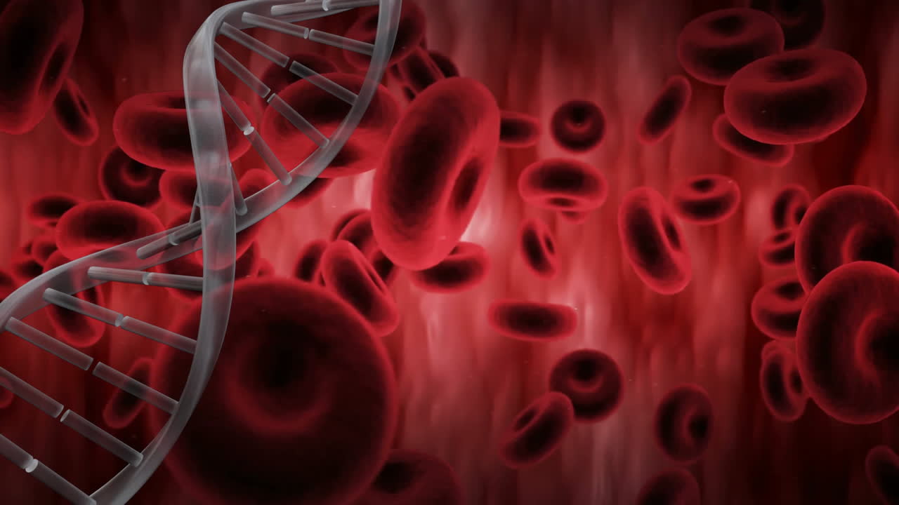 animación de la cadena de adn sobre las células sanguíneas flotando