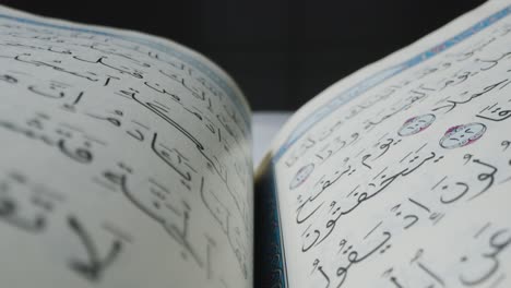 macro shot of turning the quran pages