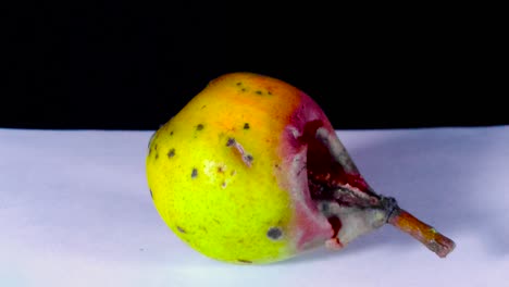 time lapse of a rotting pear