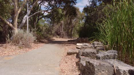 Clip-De-Mano-Caminando-Junto-A-Cañaverales-Altos-Y-Un-Arroyo-A-Través-De-Un-área-De-Matorrales