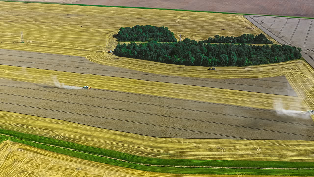 Aerial static timelapse of combine harvesters mowing large field at midday