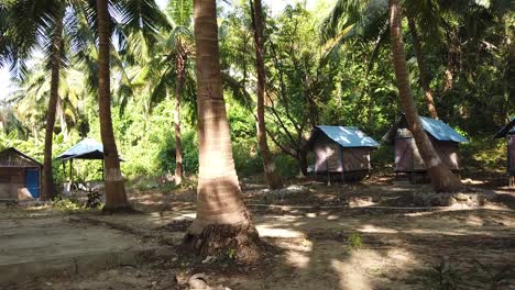 coconut palms amongst huts for guests and backbackers in the andaman islands in india during the hottest time of year the off season