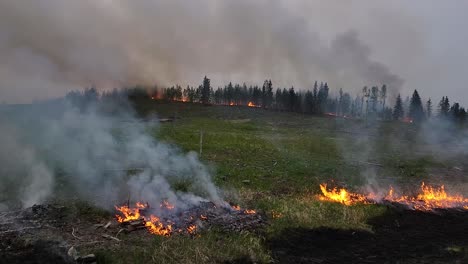 Waldbrand-Brennt-Auf-Dem-Feld-Und-Im-Fernen-Wald,-Dichter-Rauch