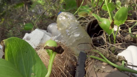 Planta-Moribunda-Cerca-De-Una-Botella-De-Plástico-Y-Fondo-De-Basura-4k-Asia,-Tailandia-Filmada-Con-Sony-Ax700