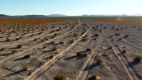 us, nv, amargossa valley, big dune, 2025-01-16 - drone view of off road tracks in the desert at sunrise at big dune, also known as amargossa dune
