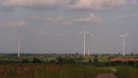 wind turbines towering farmlands, as farmers grow their crops and tend their animals; clean alternative energy in thailand and mainland southeast asia.
