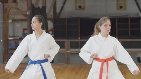 medium shot of martial artists punching and lunging to sides