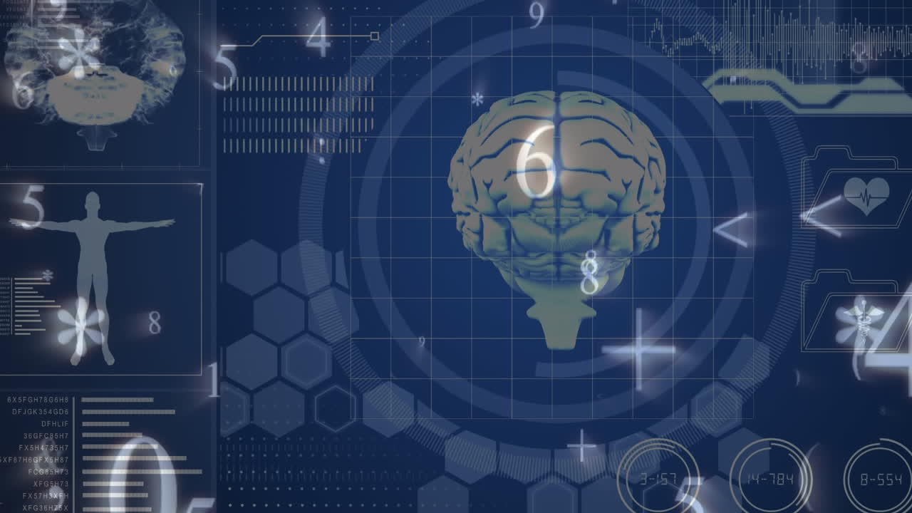 animación del cerebro humano y procesamiento de datos