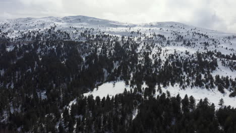 Luftaufnahme-Der-Schneebedeckten-Berghänge-Und-Nadelbäume,-Majestätischer-Sonnenuntergang-Am-Berg-Kaimaktsalan-In-Griechenland