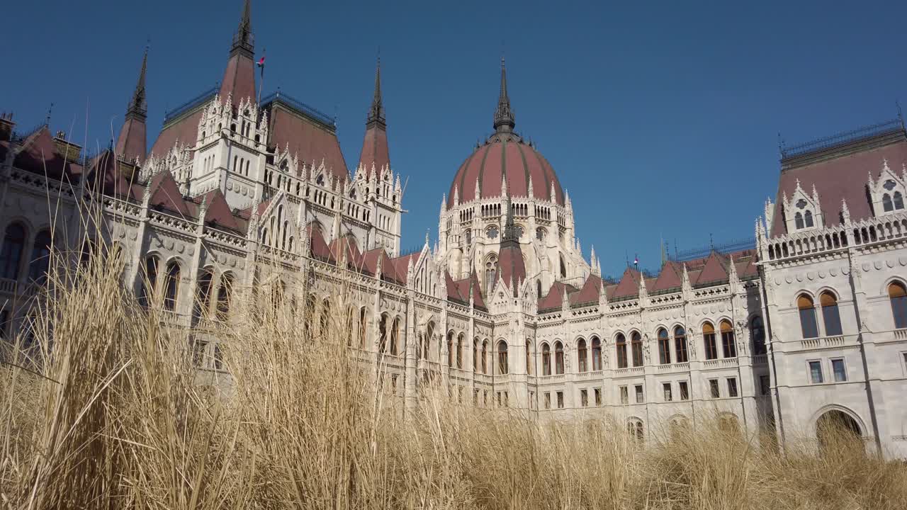 edificio del parlamento húngaro con flora muerta en primer plano