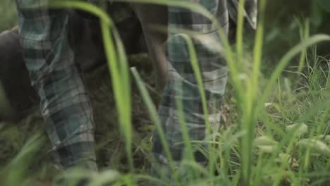 an indonesian man diligently digs soil in a vibrant bali rice field, bathed in warm, natural light. the close-up captures his focused effort amidst lush green rice plants.