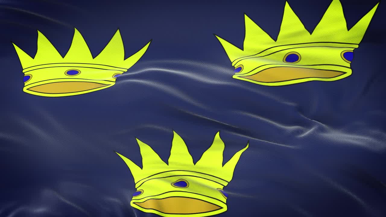 Munster (Province of Ireland) flag waving in the wind with highly detailed fabric texture. Seamless loop