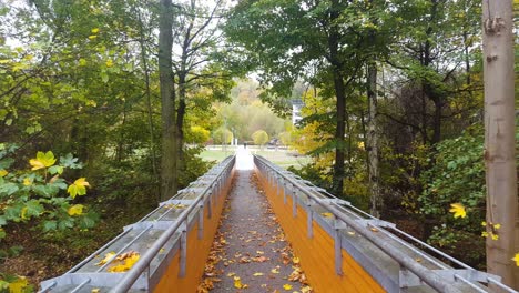 standing view of bridge in autumn