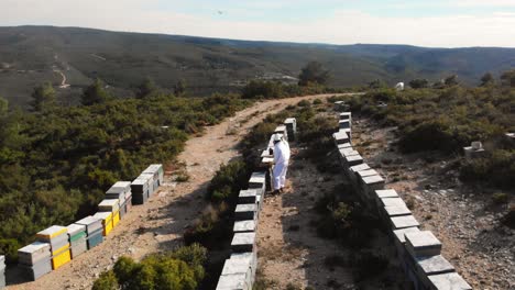 el zoom del dron se aleja de los apicultores que recolectan miel de las colmenas en la montaña