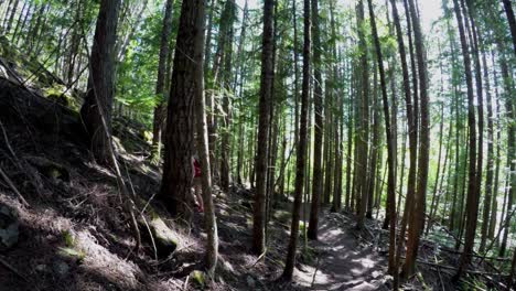 Couple-walking-through-the-forest-4k