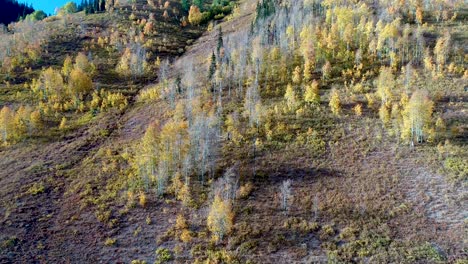 Rocky-mountains-of-Colorado-as-the-fall-leaves-turn-golden