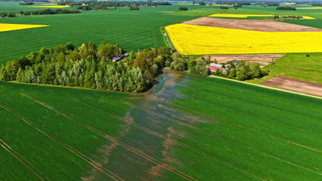 flooded farmland near forest patch, aerial view with colorful fields in spring