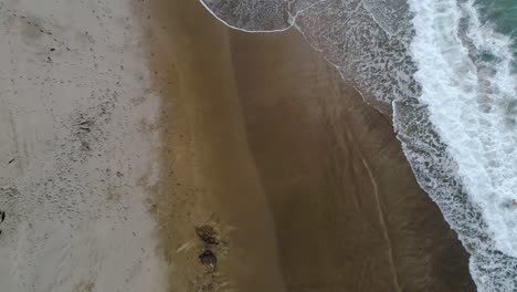 Playa-De-Agua-Caliente-Nueva-Zelanda-Con-Una-Persona-Jugando-En-Las-Olas-Y-Olas-De-Arena-Naranja-Y-Roja-Rompiendo-Arena-Blanca---Bandeja-Aérea-De-Arriba-Hacia-Abajo