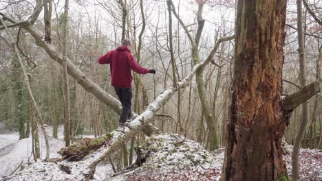 man walks along fallen tree in snowy forest.