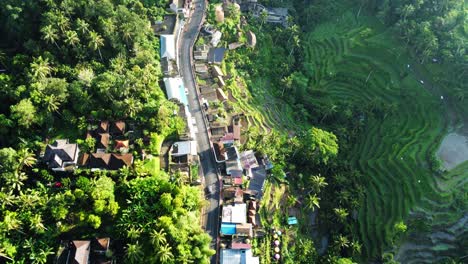 Imágenes-Aéreas-De-Drones-De-4k:-Amanecer-En-Las-Terrazas-De-Arroz-De-Tegalalang-De-La-Unesco,-Ubud,-Bali