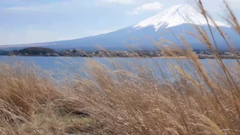 natürliche landschaftsansicht des fuji-vulkanbergs mit dem kawaguchi-see im vordergrund, 4k-uhd-videofilmmaterial, kurz