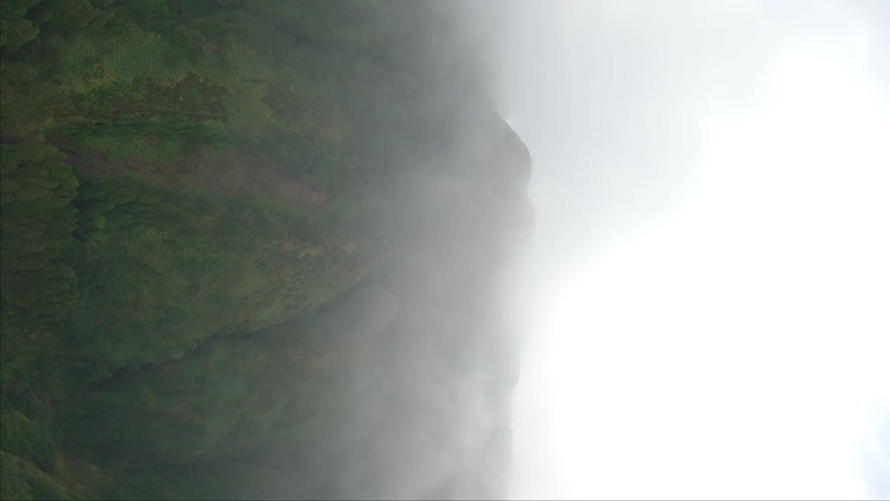 여름에 안개가 가득한 언덕 위에서 촬영된 fpv