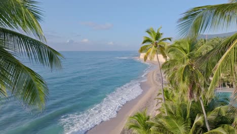 Drone-flying-between-palm-trees-along-Barahona-coast,-Dominican-Republic