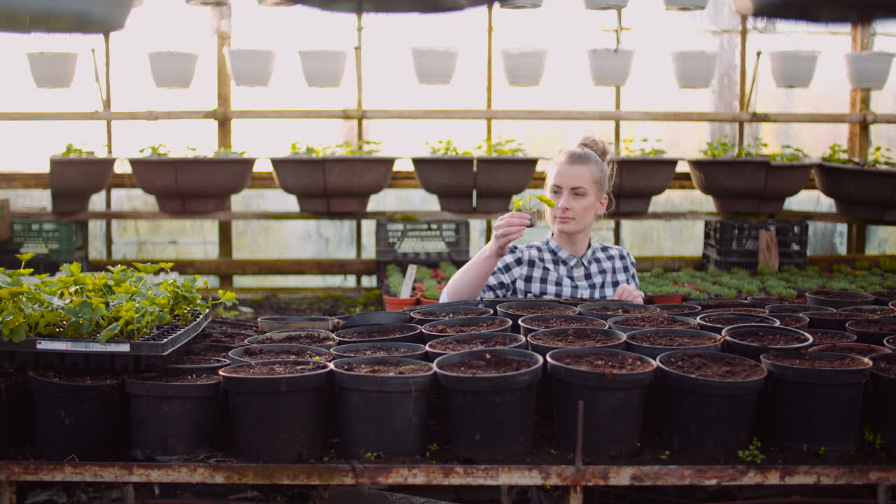 mujer granjera examinando plantas en el invernadero 3