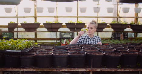 female farner examining plants at greenhouse 3