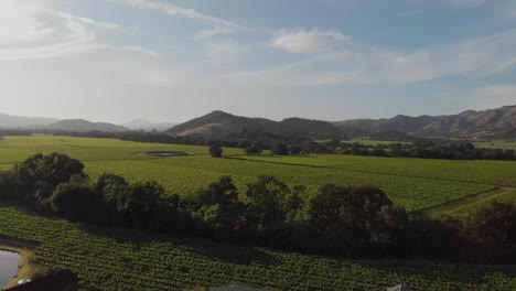 vineyard view of napa valley and surrounding mountains