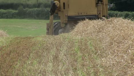 A-combine-Harvesting-a-Field