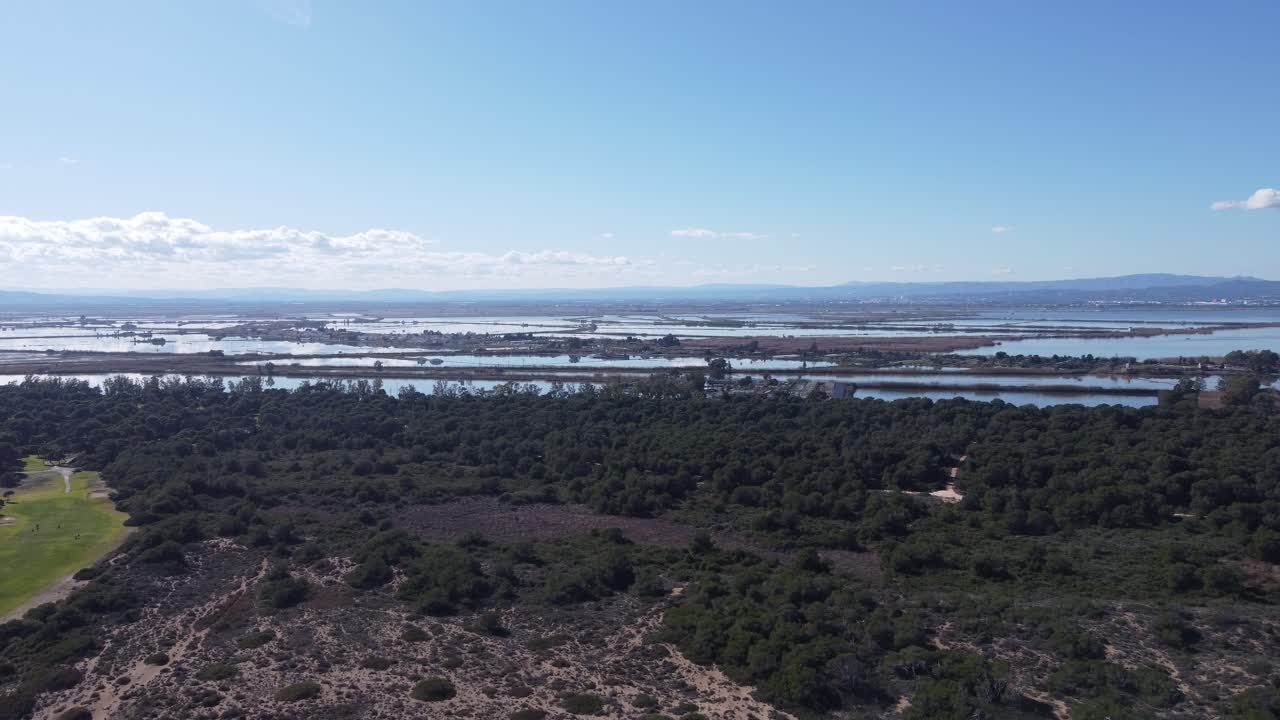4K Drone Ascension Over Mediterranean Pine Forest with Salt Flats and Mountains in Albufera Natural Park, Valencia, Spain