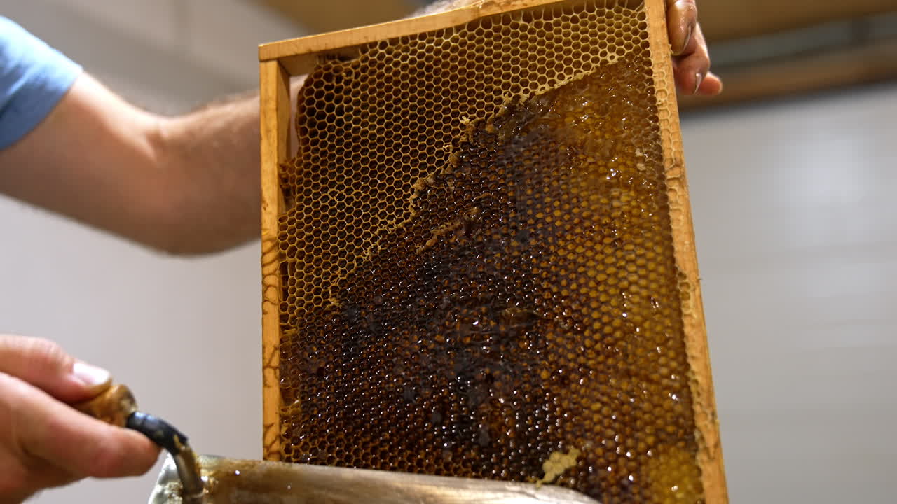 Honeycomb Harvesting